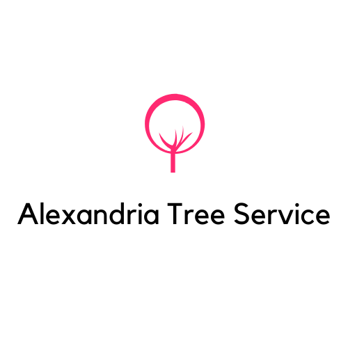 Alexandria Tree Service business image in Alexandria, VA
